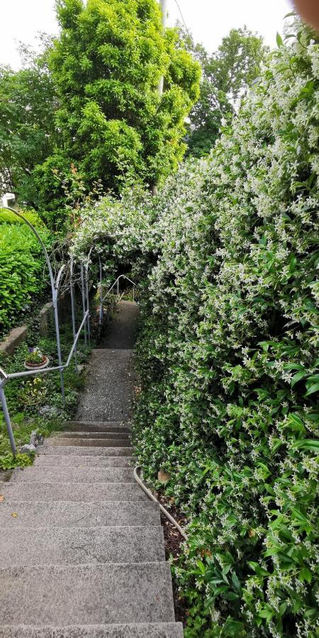 Charming Apartment In A 19Th Century Villa Trieste Luaran gambar